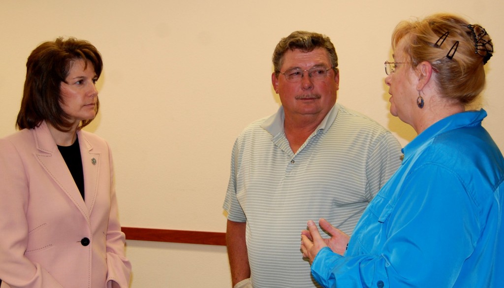 State domestic violence committee meets in Alamo