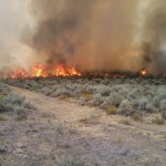 The Eureka Volunteer Fire Department was dispatched around 2:30 p.m. Aug. 18 to two reports of fires, one near Bowman’s Ranch North East of Eureka and South