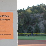 Eureka residents have been feeling on the uneasy side since last week when a mountain lion was spotted in town as early as Monday, Sept. 30.