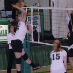 The Eureka County High girls’ volleyball dream season came to a screeching halt last Friday.