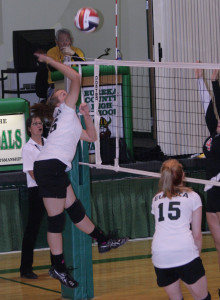 The Eureka County High girls’ volleyball dream season came to a screeching halt last Friday.