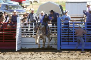 Courtesy photo - Eureka 8th graders Chace Green and Breyana Miller qualified for the National Jr. High School Rodeo Finals beginning June 19 in Lebanon, TN.